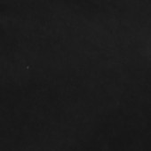 W23-NEG-AYRIN.jpg